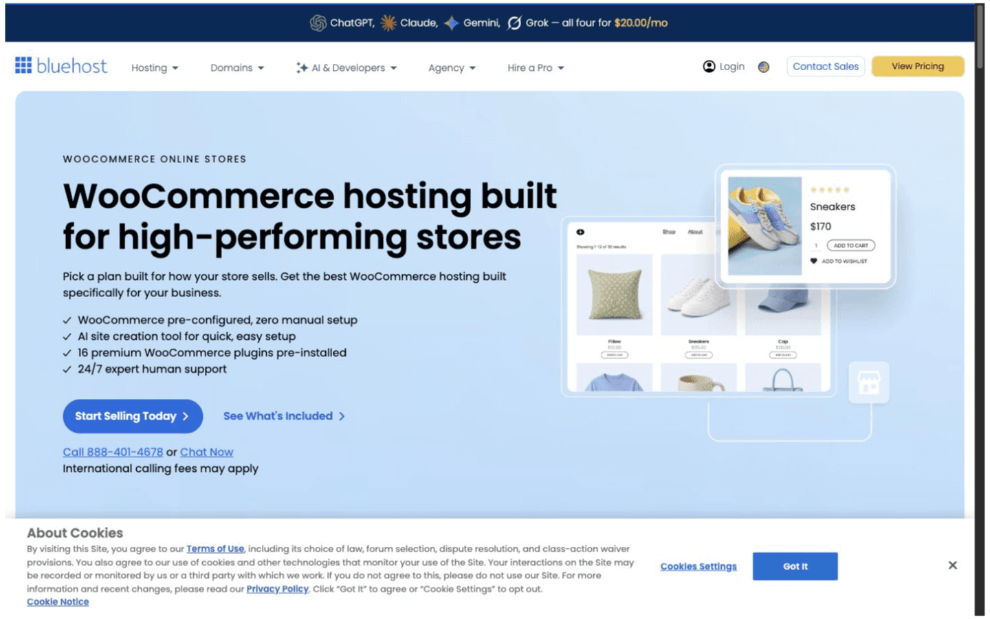 Bluehost website screenshot