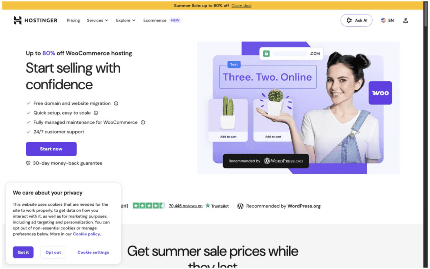 Hostinger website screenshot